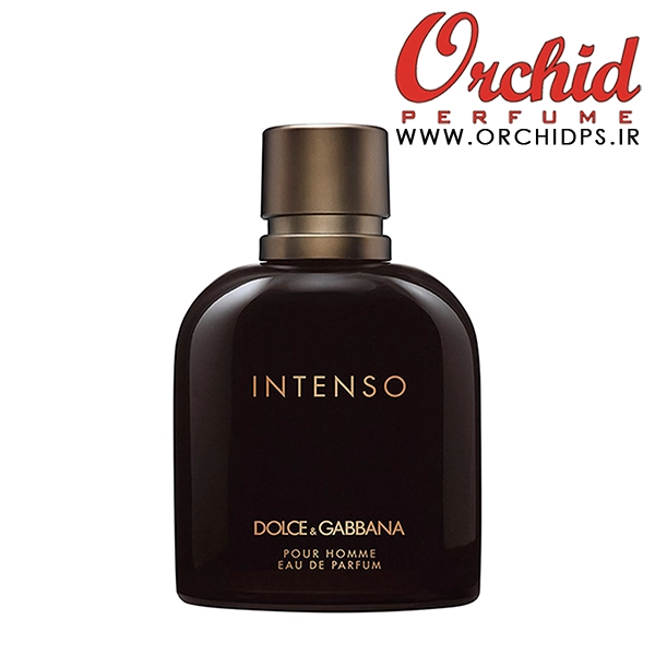 DOLCE & GABBANA - Pour Homme Intenso 1