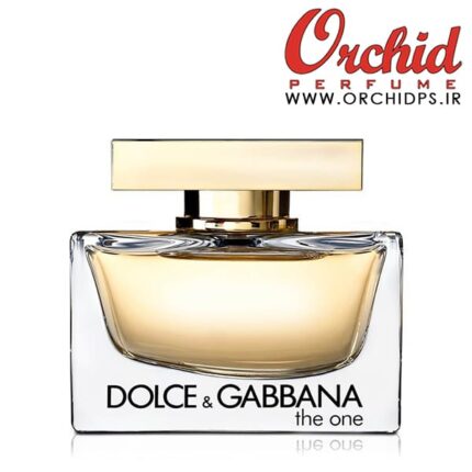 d&g the one for women
