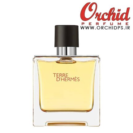 Hermes Terre dHermes Eau De Perfum 75ml-www.orchidps.ir