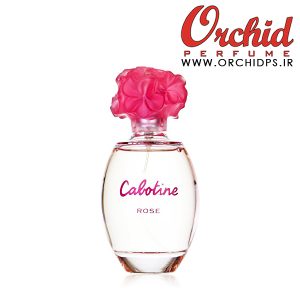 Cabotine Rose Gres for women www.orchidps.ir