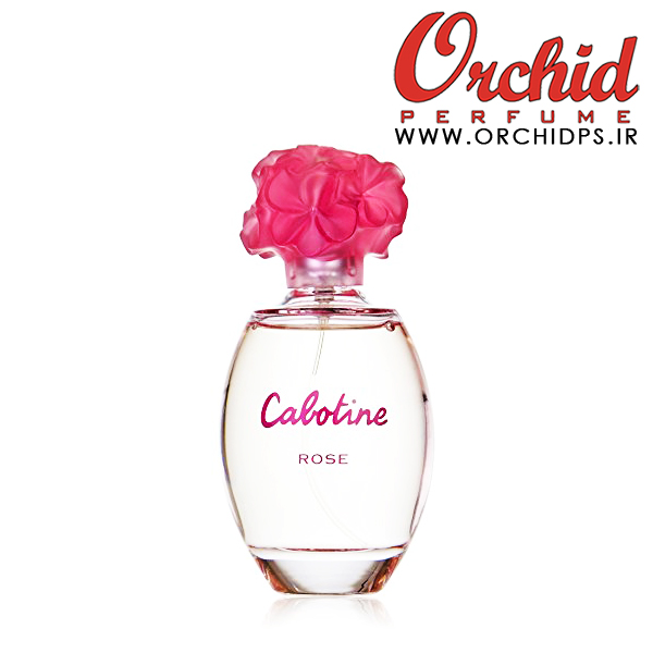 Cabotine Rose Gres for women www.orchidps.ir