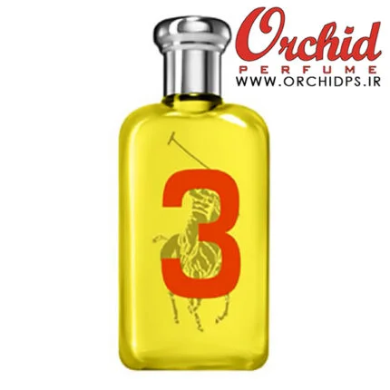 Big Pony 3 for Women Ralph Lauren for women